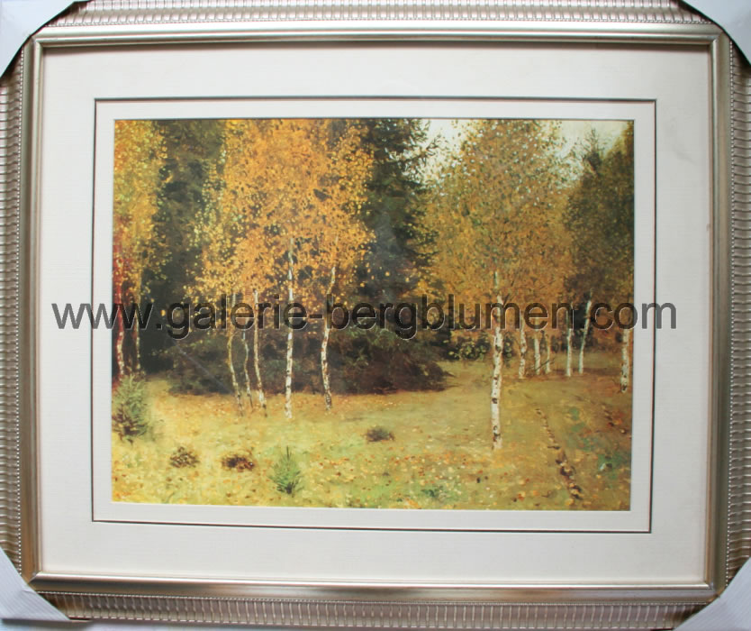 Kunstdruck - 
                                Herbstliches Birkenwäldchen - H/B 46,5cm/56cm