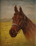 Gemälde - Pferdeportrait - H/B 68cm/50cm