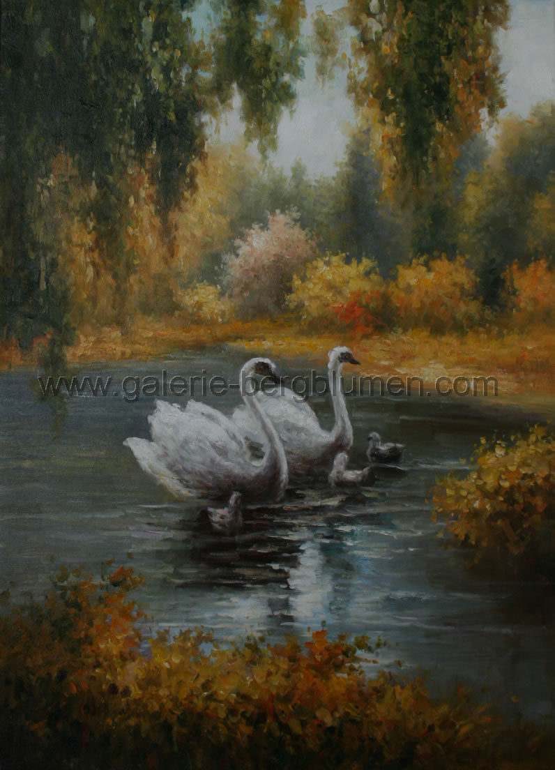 Gemälde - 
                                Schwäne auf einen Waldsee - H/B 72cm/52cm